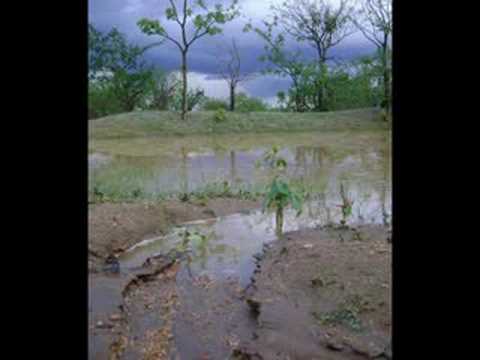 acontecência- (cláudio nucci)