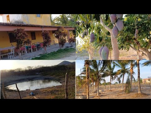 SÍTIO A VENDA DO MEU AMIGO MARCOS BARBOSA OCARA CEARÁ 