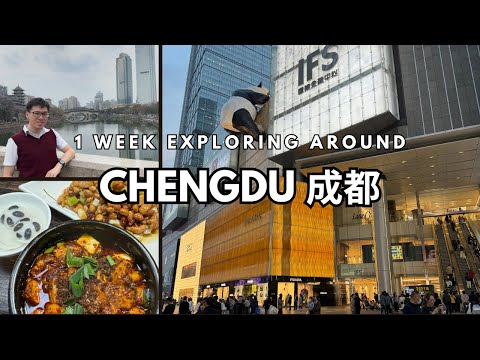 Clement Ying - Travel Diaries and 3 more