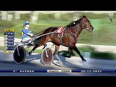 Aversa trotto 20 Novembre 2021 - 2° Corsa