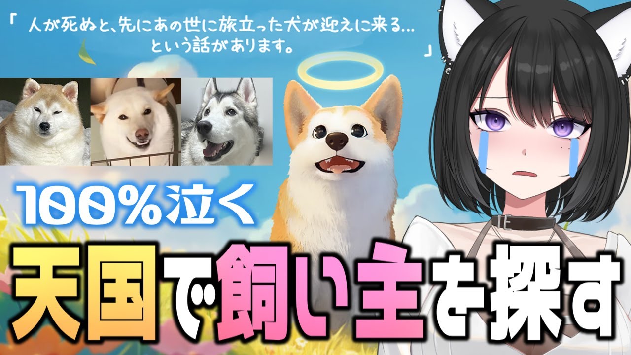 【My Little Puppy】愛犬家は100％泣くゲーム