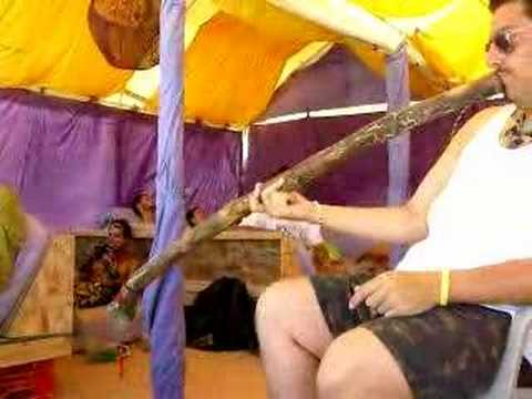 daZed & aMazed concert