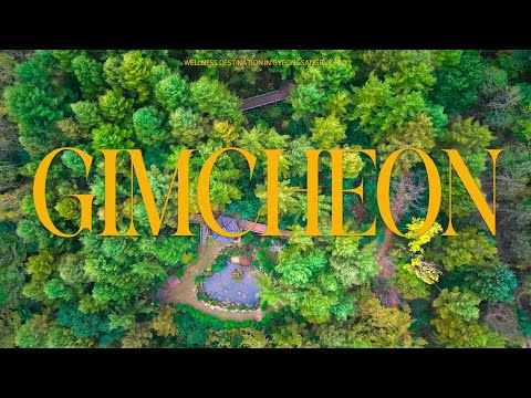 [경북 웰니스 관광지] 