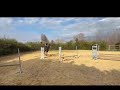 Cheval d'avenir