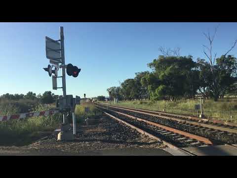 CM3314, CM3307, CM3305 - Quipolly