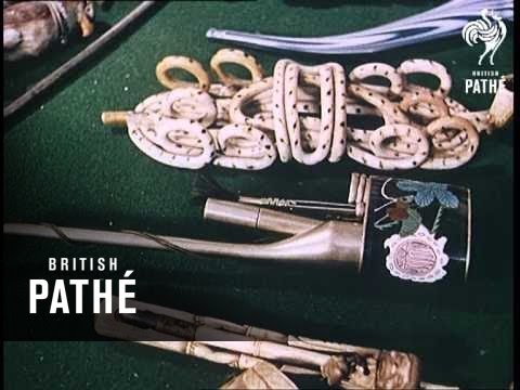 Pipe Collection Beware - Other Colour Pics Share This Title (1960)