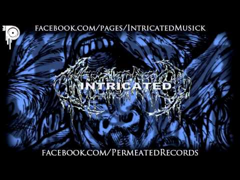 Intricated - Swallowed the undead Parasites - Promo song 2014 - Permeated Records