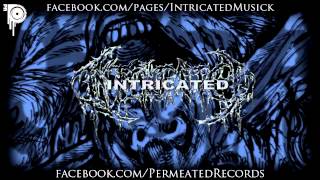 Intricated - Swallowed the undead Parasites - Promo song 2014 - Permeated Records
