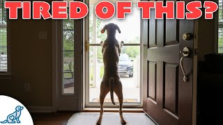 How to STOP Your Dog BARKING at the Door (Real-World Training)