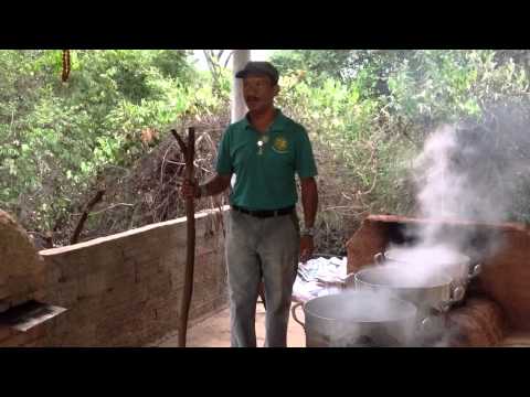 Feitio do Santo Daime Jardim de Belas Flores - Bateção