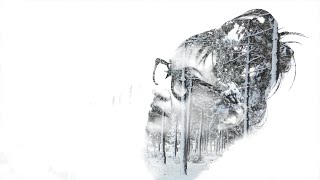 Holly Cole - Christmas Time Is Here (2022 Remastered)