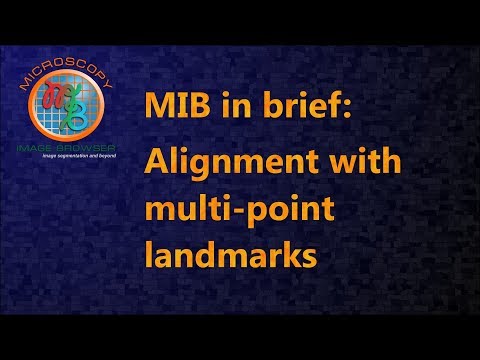MIB in brief: Alignment with multi-point landmarks