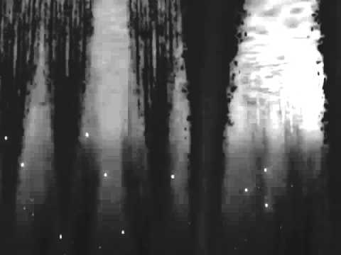 CygnosiC - As Far as We Can Go