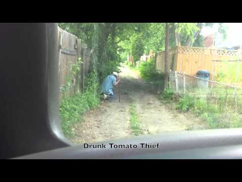 Drunk Tomato Thief