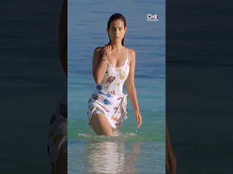 Happy Birthday Ameesha Patel! 💖 Bollywood’s Glam Queen #birthday #birthdaygirl #cakes #ameeshapatel