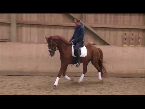 Wallach von Quasar de Charry