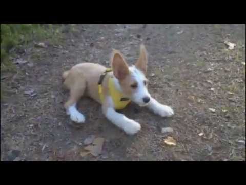 Iiro säntäilee 040714