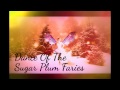 Michael Allen Harrison ~ Dance Of The Sugar Plum Faries