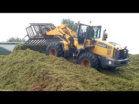 Jerry Donoghue 1st cut complete, Silage 2022