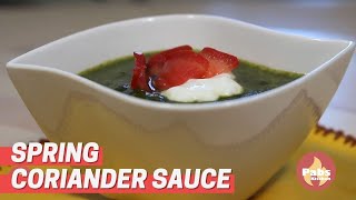 Spring Coriander Sauce 🌿