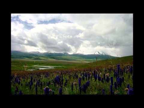 Black Horse-Sunjidmaa