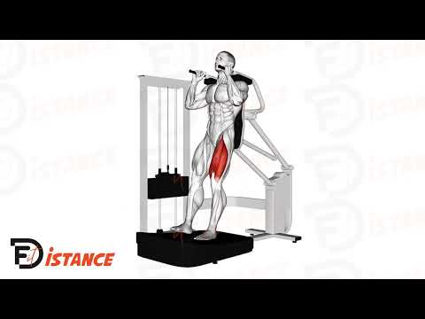 Pistol Squat sur machine (ou à la guidée) - Exercice Pistol Squat sur machine (ou à la guidée) en vidéo Pistol Squat sur machine (ou à la guidée) - Exercice Pistol Squat sur machine (ou à la guidée) en vidéo