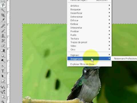 Tutorial noiseware, reductor de ruido