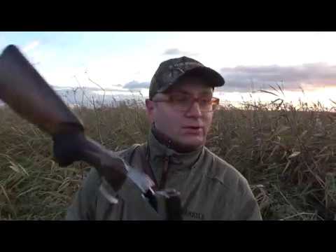 Wasserwildjagd in Brandenburg