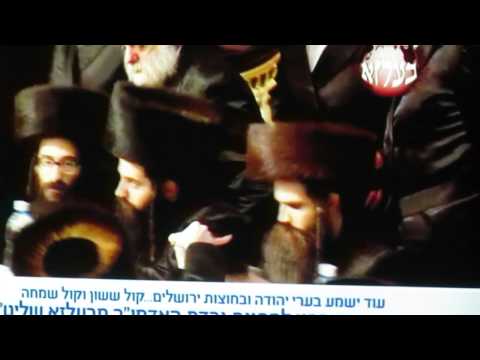 Belz Wedding 2014 - Part 32, Sheva Brachos