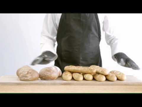 NKL: "Palanga" - "Telšiai" rungtynių įrašas 2015-11-21