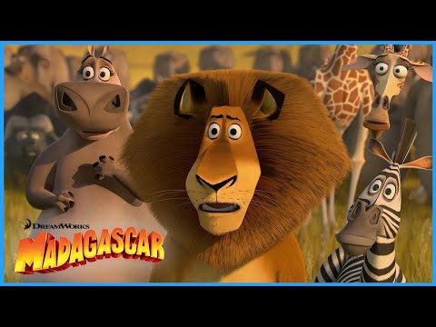 The Craziest Moments From Madagascar 2!⭐️ | DreamWorks Madagascar
