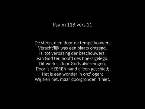 Psalm 118 vers 11