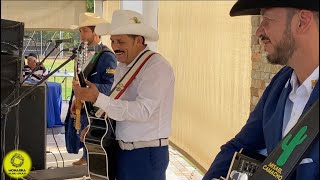 Los Migueles de “MIGUEL MONTOYA”/El Cisne (En vivo)🤠🍀🎸🔥 #Requinto #Guitarras #Montoya