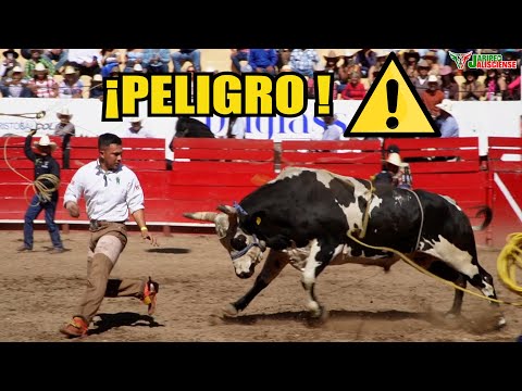 COMPILATION, THE BRAVEST AND MOST DANGEROUS BULLS OF THE JARIPEO