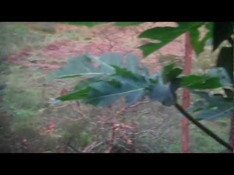 happy birthday oriana, wish u were here