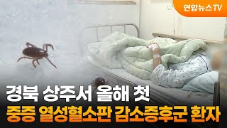 경북 상주서 올해 첫 중증 열성혈소판 감소증후군 환자 / 연합뉴스TV (YonhapnewsTV)