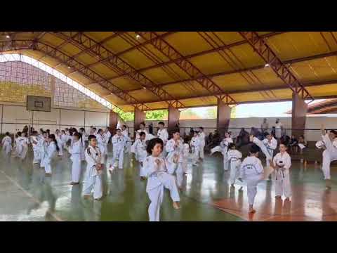 Taekwondo indiara-goias.  Primeiro exame de faixas Coloridas 2026