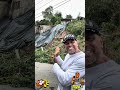 JUQUITIBA A CIDADE QUE NÃO AJUDA AS PESSOAS FAVELA DOS BRANCOS BARRACO DA DONA EUZA O CASTELO DE MADEIRA
