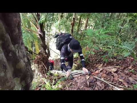 Maliau Basin, Sabah's Lost World Adventure