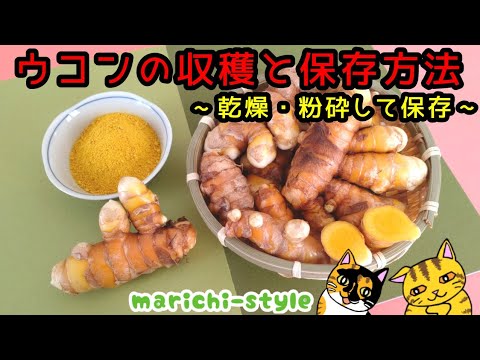 園芸 収穫物の保存方法