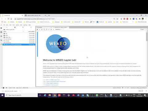 Introduction to the WEkEO Jupyter Lab