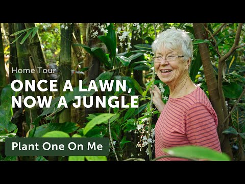 Tour Marie Nock's BACKYARD JUNGLE — Ep. 310