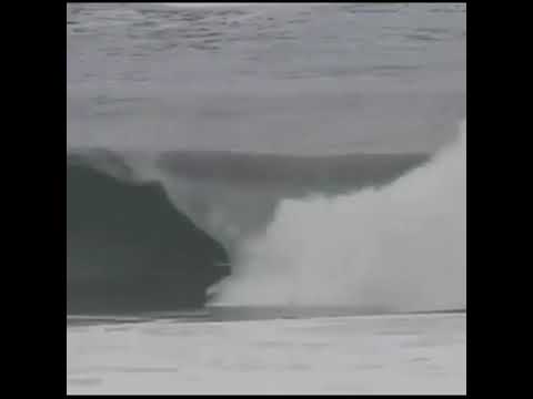 Mikey Wright VS Jesse Mendes fight