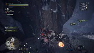 MHWIBを遊ぶ
