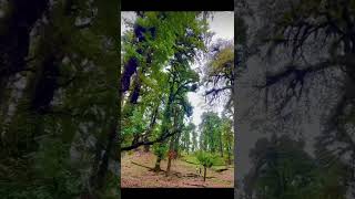 Download lagu dil keheta hai..|lyrics video|#DilKehtaHai #BollywoodSongs #HindiLyrics #Lyric video mp3