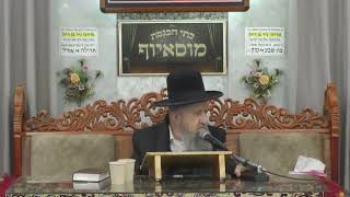 הרב בן ציון מוצפי • מסכת אבות פרק ב' • ניסן תשפ"ו