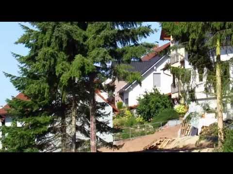 Canon SX530 HS Zoom test video #2