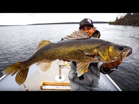 Fly-In Fishing For BIG Canadian Walleye!