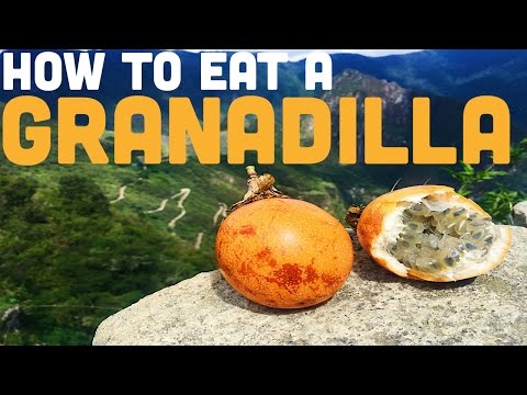 download lagu mp3 mp4 How To Eat Granadilla, download lagu How To Eat Granadilla gratis, unduh video klip How To Eat Granadilla