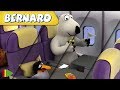 Bernard Bear Zusammenstellung Von Folgen Reise Ins Stadion